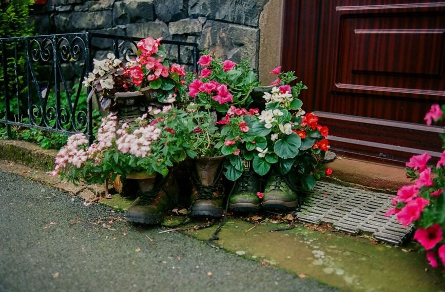 Blossom Iron Haven – 1642222234