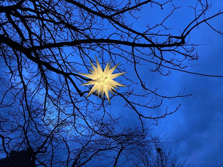 celestial winter frame identifier