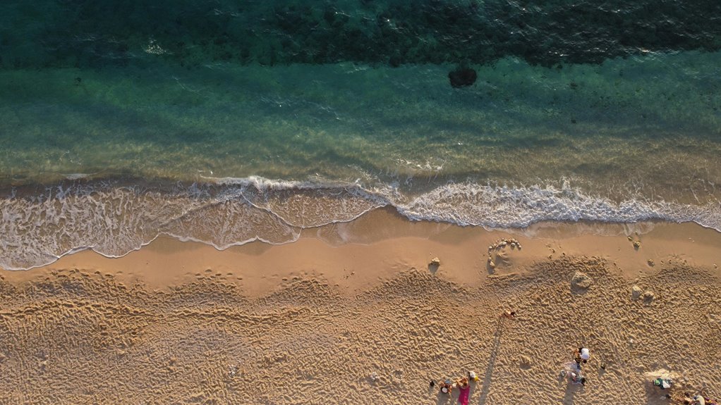 static suns record release